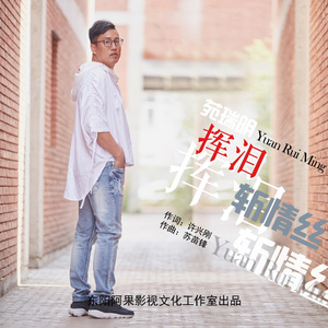 挥泪斩情丝 (DJ王震 Remix  广场舞版)