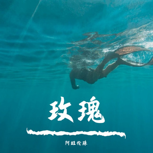 高，还没富，但帅