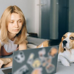 一尘不染考试印象数