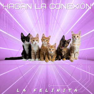 Hagan La Conexión
