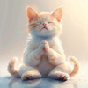 Gato Total Relax - Meditación Relajante En La Música Zen