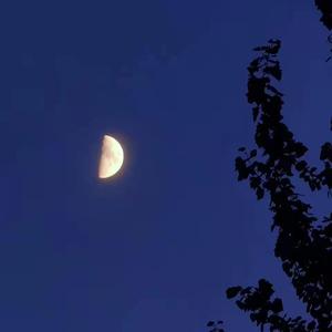 1996（Prod by Fifty-Fifty）