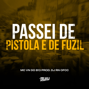 Passei de Pistola e de Fuzil