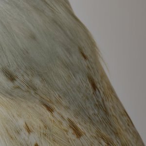 They'd Start Their Calling Around Midnight