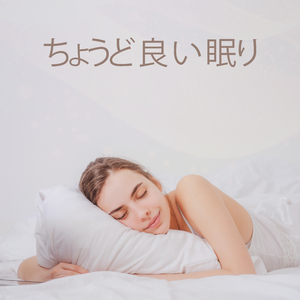 暮らしのハーモニー