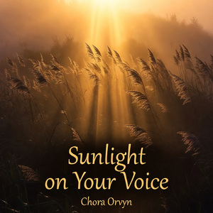 Sunlight on Your Voice