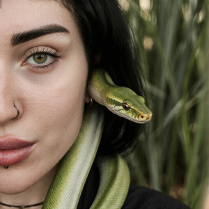 змея