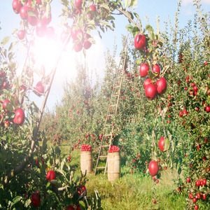 오후의 햇살을 머금은 낮잠 자장가