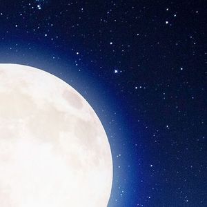 星星闪闪的月夜