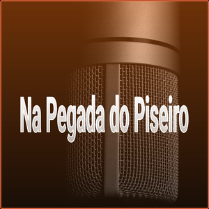 Na Pegada do Piseiro