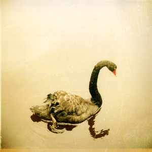 New Drink for the Old Drunk (1998 4-Track Cassette Demo)