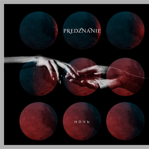 Сорванная роза