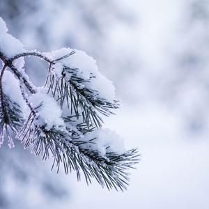 When Silence Turns White
