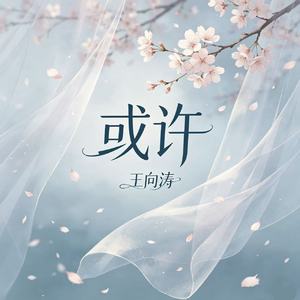 或许