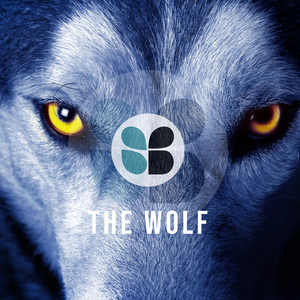 The Wolf (Stephane K Mix)