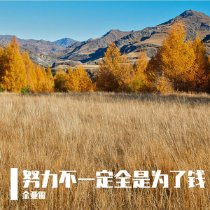 努力和遗憾哪个让你更痛苦