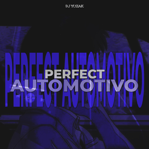 PERFECT AUTOMOTIVO