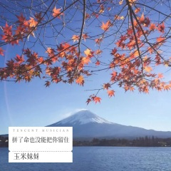 拼了命也没能把你留住 (DJ默涵版)