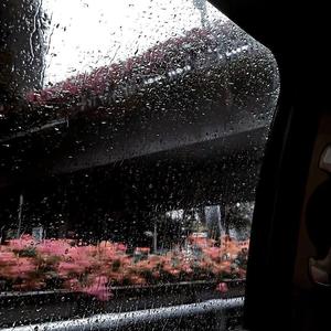 东京不太热（抖音完整女版）