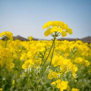 唯你在心上