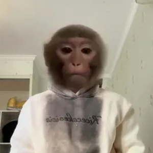 越南鼓卡点舞（彻底魔怔）