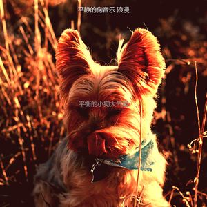 温和睡狗梦想