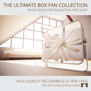 Air Circulator Fan on Medium Speed (White Noise)