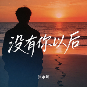 没有你以后