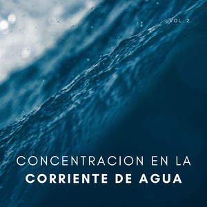 Flujo De Agua Del Arroyo