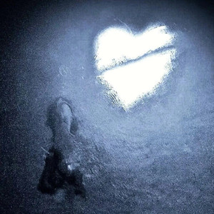 在明年初雪来临前亲吻你的眼睛