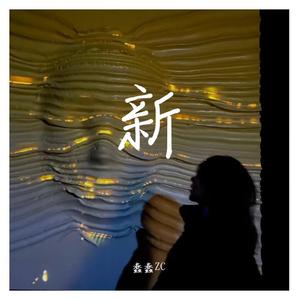 她来听我的演唱会（翻自 硬糖少女303希林娜依·高）