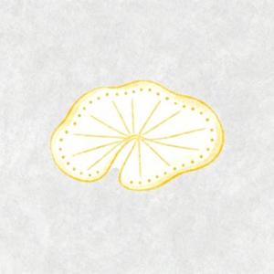 没说的话 (小胡 Remix)