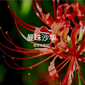 曼珠沙华