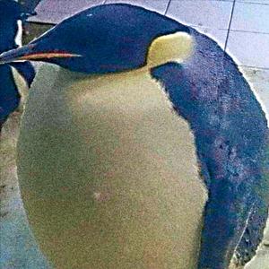 Shout Out Momo (Mix Demencia 4)