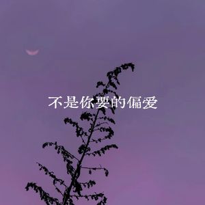 不是你要的偏爱