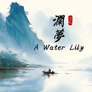 澜梦 A Water Lily