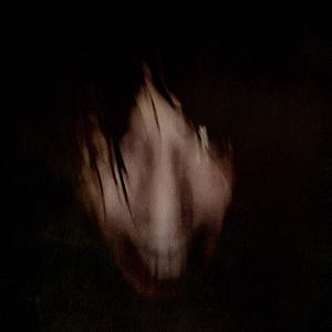 if you drown in the lake, will the trees hear it?