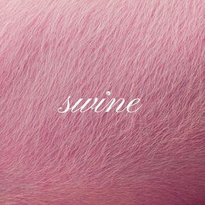 SWINE