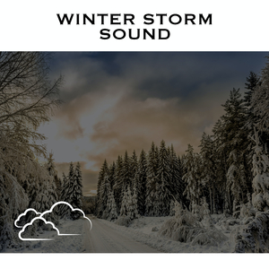 Winter Wind Sounds - No Fade