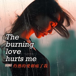 灼热的爱刺痛了我 the Burning Love Hurts Me