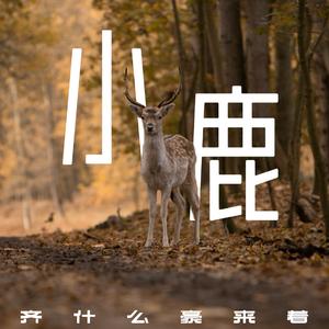 小鹿