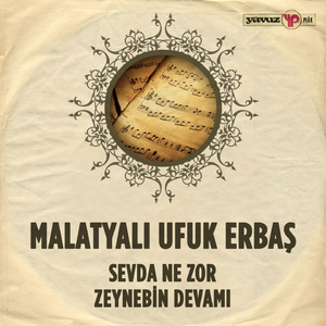 Zeynebin Devamı