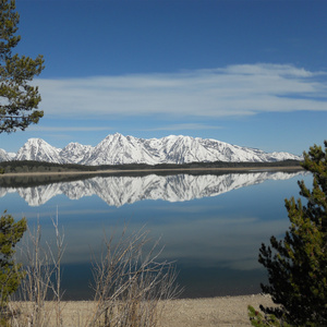 スノーフレーク