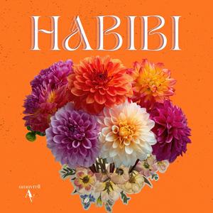 HABIBI