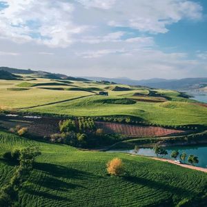 秋风落叶（图书馆学习安静轻音乐）