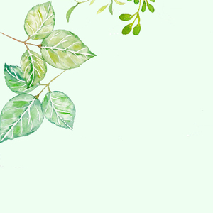 绿茶（Cover 灰灰）