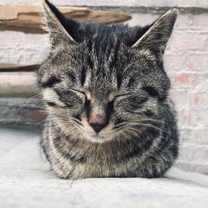 十一点四十三（sadness)