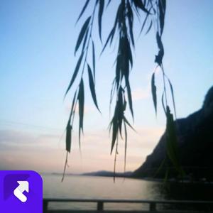 她来过（等待版） (伴奏)