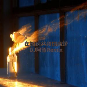 在加纳共和国离婚（DJ阿智Remix）
