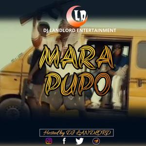 Mara Transformer